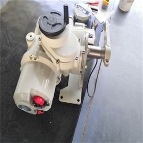 罗托克执行器48083-02比例板ROTORK伺服板