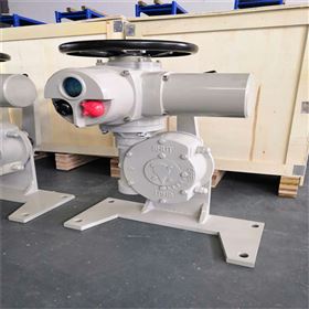 扬州瑞浦销售ZXQJ-M1精小型电动执行器ZXQ2004C阀门控制器模块